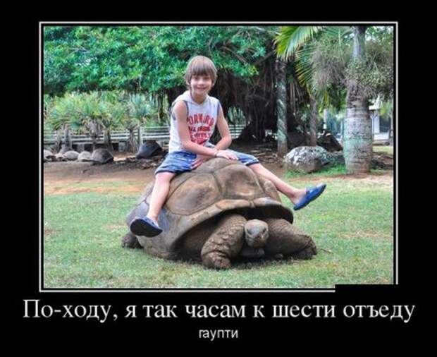 Демотиваторы