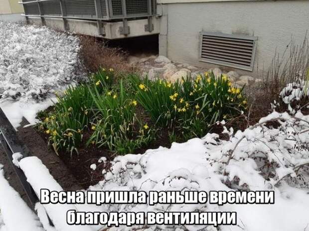 Подборка картинок Подборка картинок