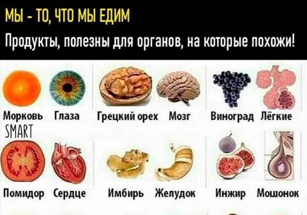 Мошонок есть? А если найдем? Мошонок есть? А если найдем?