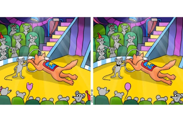 Картинка-перевертыш: мыши дрессируют кота — найдите 10 отличий