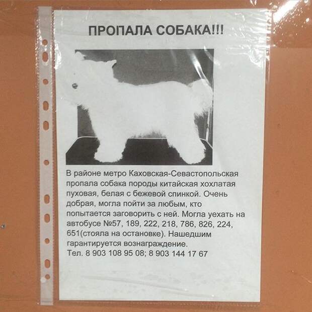 Этот народ непобедим или умом Россию не понять!-29 фото-
