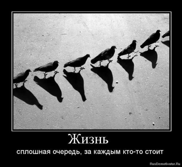 Прикольные демотиваторы с надписями. Подборка chert-poberi-dem-chert-poberi-dem-32310504012021-12 картинка chert-poberi-dem-32310504012021-12