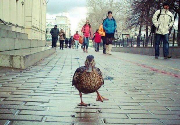 Приколы из Екатеринбурга