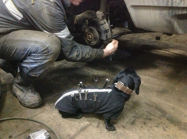 такса помогает в автосервисе