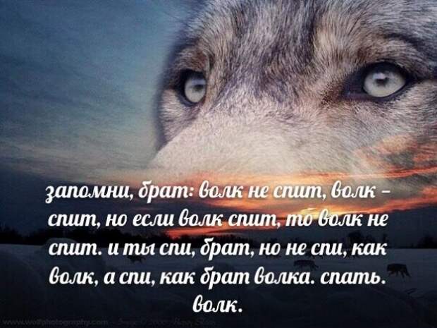 Нестандартный юмор :)