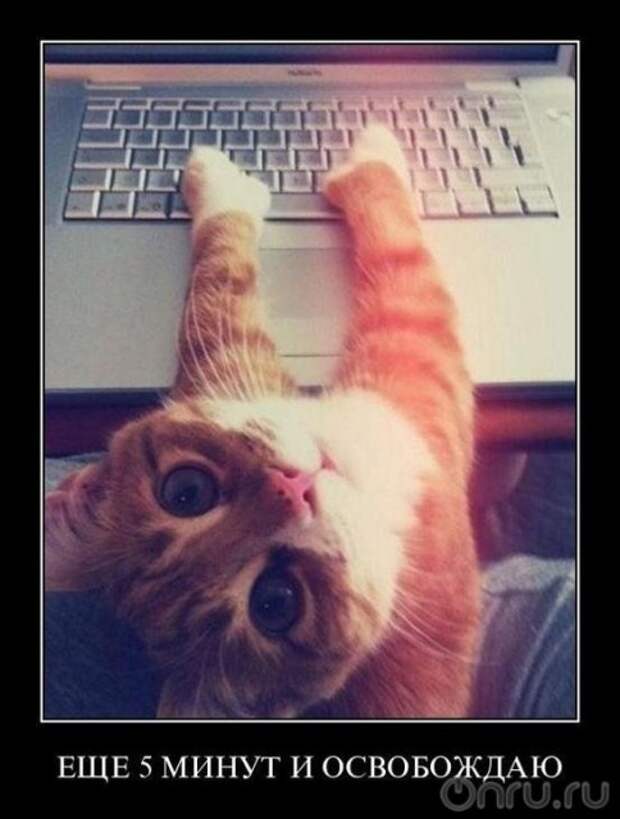 Веселые , смешные демотиваторы обо всем на свете !