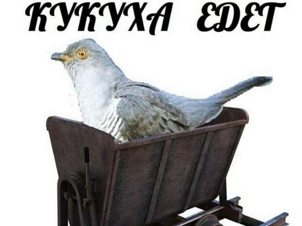 В КПРФ поехали предвыборной кукухой?