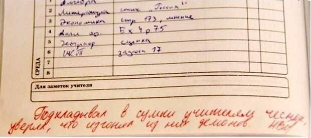 25 смешных замечаний в школьных дневниках 25 смешных замечаний в школьных дневниках