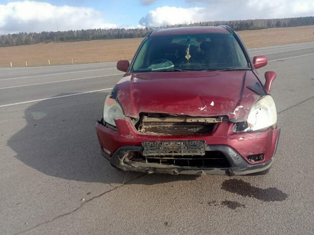 8-летняя пассажирка Nissan Expert пострадала в ДТП с Honda CR-V в Приангарье