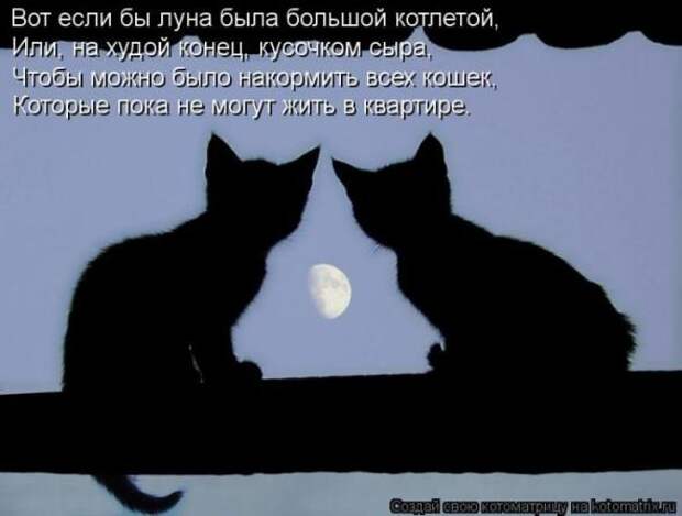 Котоматрицы(картинки с надписями)