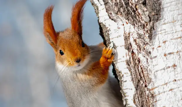 В Татарстане ожидаются морозы до -27˚С