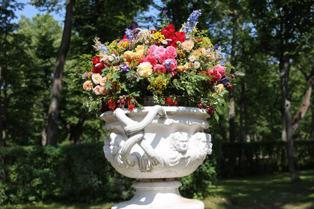 В Павловском парке открылась выставка «Музыка цветов»