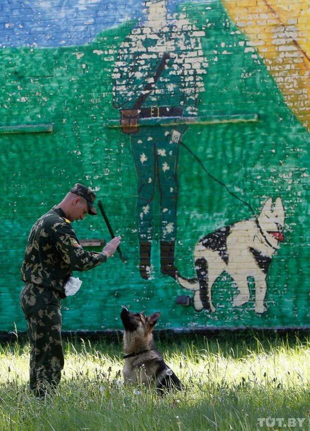 Кинологи