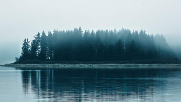 Кости каторжников: древнее кладбище на острове может привести к эпидемии чумы