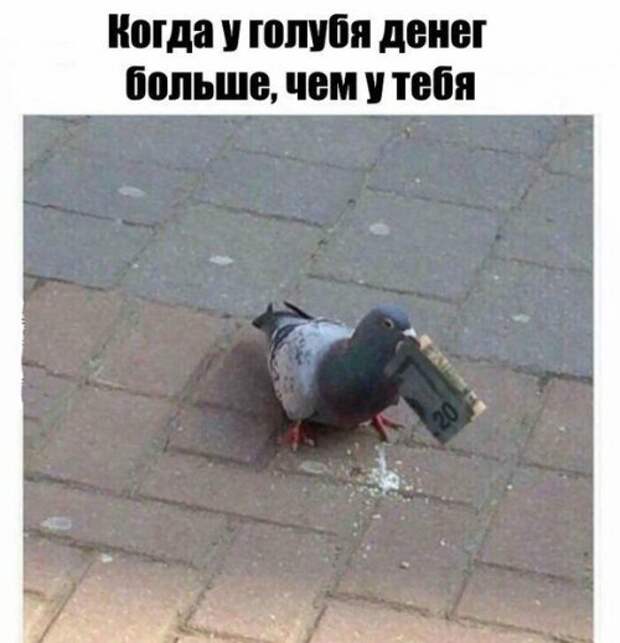 Прикольные фотомемы для всех (28 шт)
