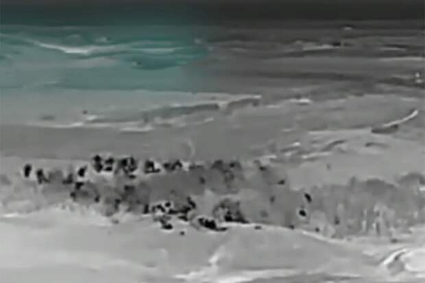 Появилось видео, как кассетная бомба РБК-500 выкосила лес с бойцами ВСУ