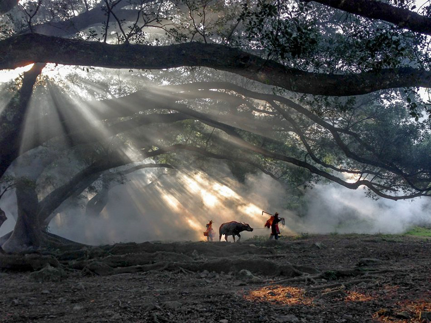 best-iphone-photography-awards-winners-2016-5-578c9e124296e-png__880