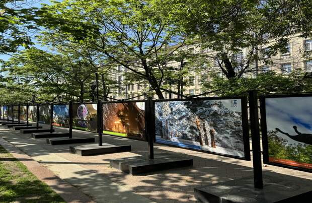 В Москве открылась фотовыставка в честь 650-летия Кирова