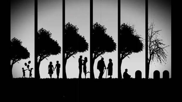 Поздний расцвет: почему любовь, зрелость и желание стать родителем смещаются ближе к 50