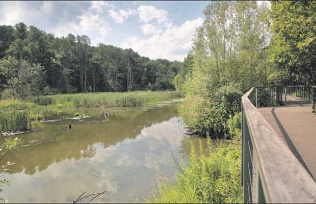 Фото: Андрей Дмытрив