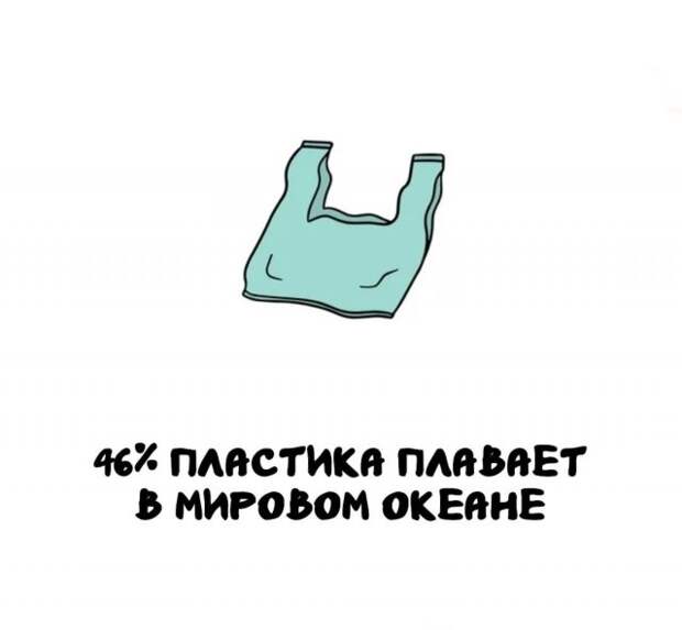 Интересные факты на все случаи жизни