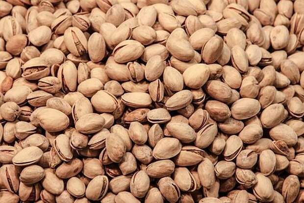 Как правильно прорастить фисташки в домашних условиях: пошаговая инструкция