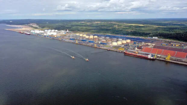 «Есть чем платить за «Герани»: экономист предрек дальнейший рост цен на нефть