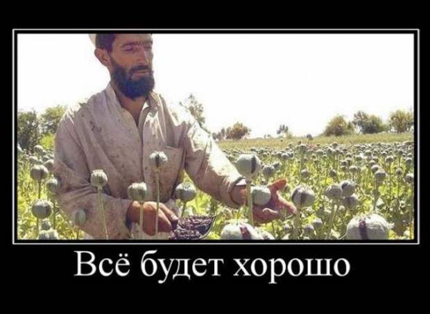Подборка классных демотиваторов № 108