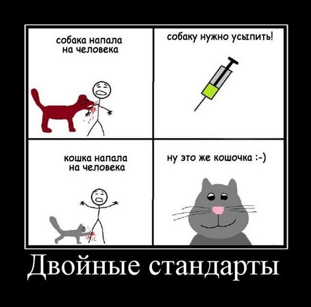 1449169362_11