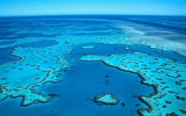 Гиганты мира природы