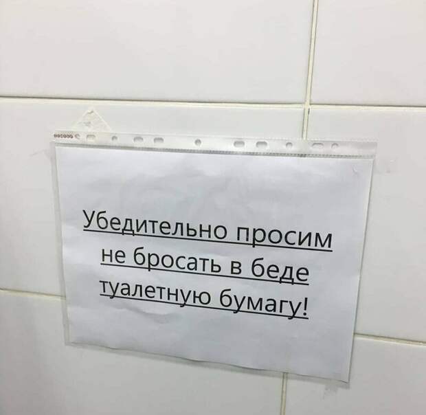 20 шедевров стенонаписания и столбообклеивания в виде самых неоднозначных объявлений