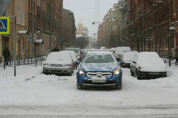 В Петербурге просят не штрафовать водителей на газонах