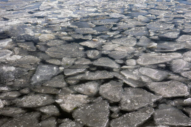 Стало известно о смерти россиянина в Волге во время крещенских купаний