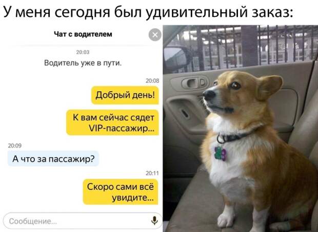 www.vsyako.net
