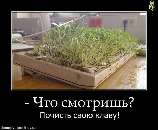 Демотиваторы и мотиваторы. Демотиваторы и веселые картинки_22-01-2013