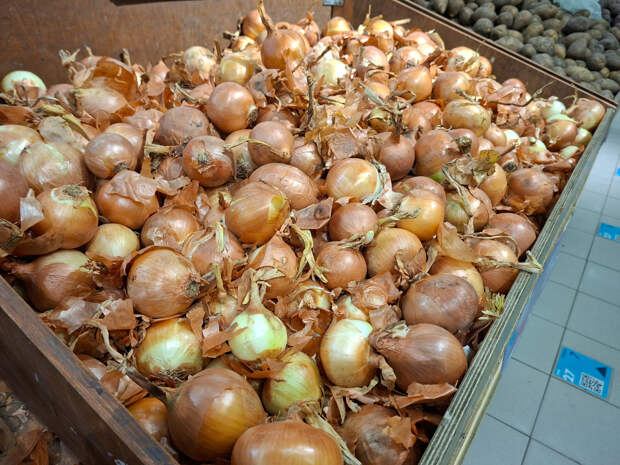 Россиян предупредили о штрафах за обдирание шелухи с лука