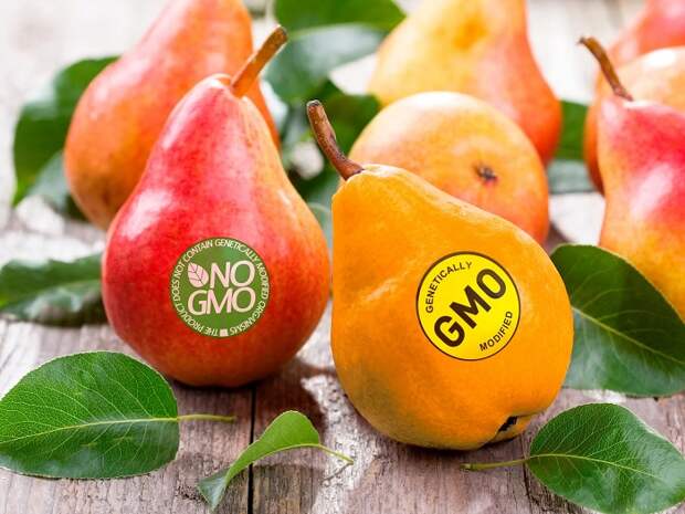 ГМО не так страшны, как их «малюют». /Фото: imagesvc.meredithcorp.io