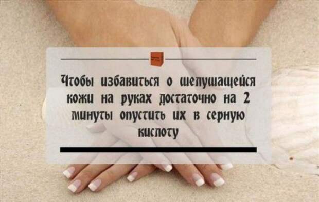 Забавные фотомемы (15 шт)