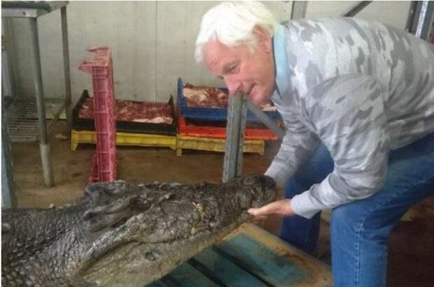 Фермер нашел в желудке крокодила странные вещи