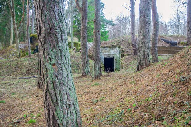 Марочко: ВСУ заняли один из бункеров Гитлера в Винницкой области