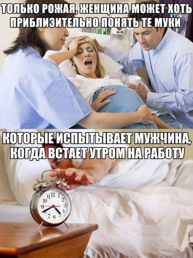 Прикольные картинки. Дневной выпуск (50 фото) Прикольные картинки. Дневной выпуск (50 фото)