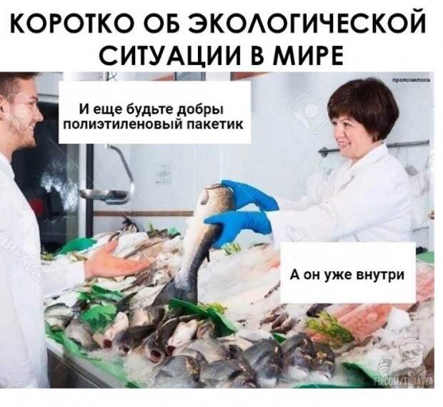 Нестандартный юмор :)