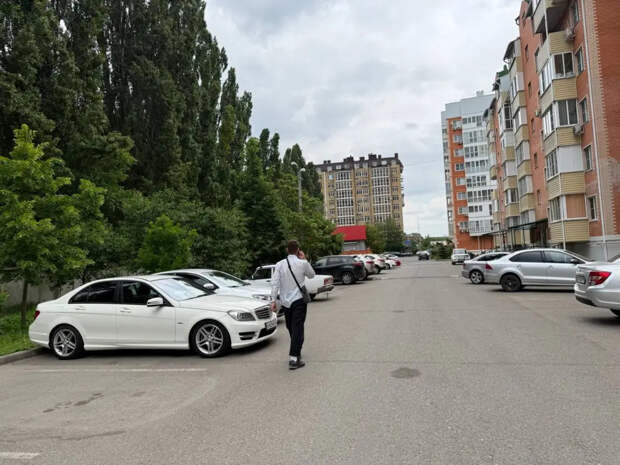 Старый волк становится посмешищем для собак: почему эта фраза спасла больше нервных клеток, чем год у психолога