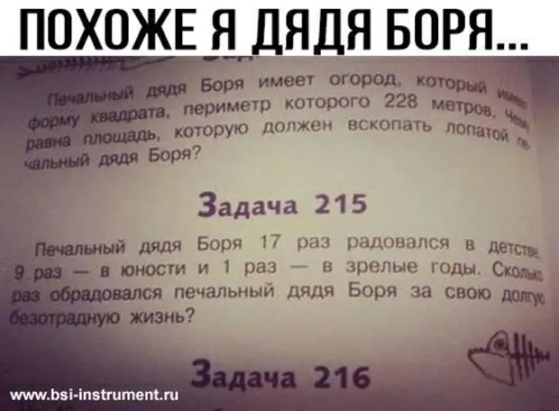 Только что по "Первому каналу" показали, как варить еловые шишки...