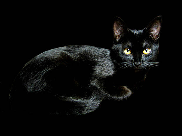http://foto.infan.ru/img/f/80/0/09134f89fa4bf8aa9733d45e78feef5a.jpg
