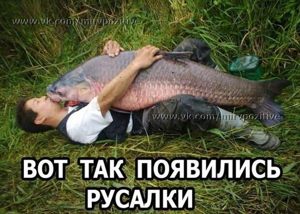 X8eKE3BNkO4