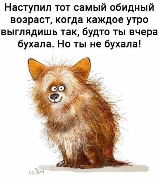 Задорные шутки с сарказмом