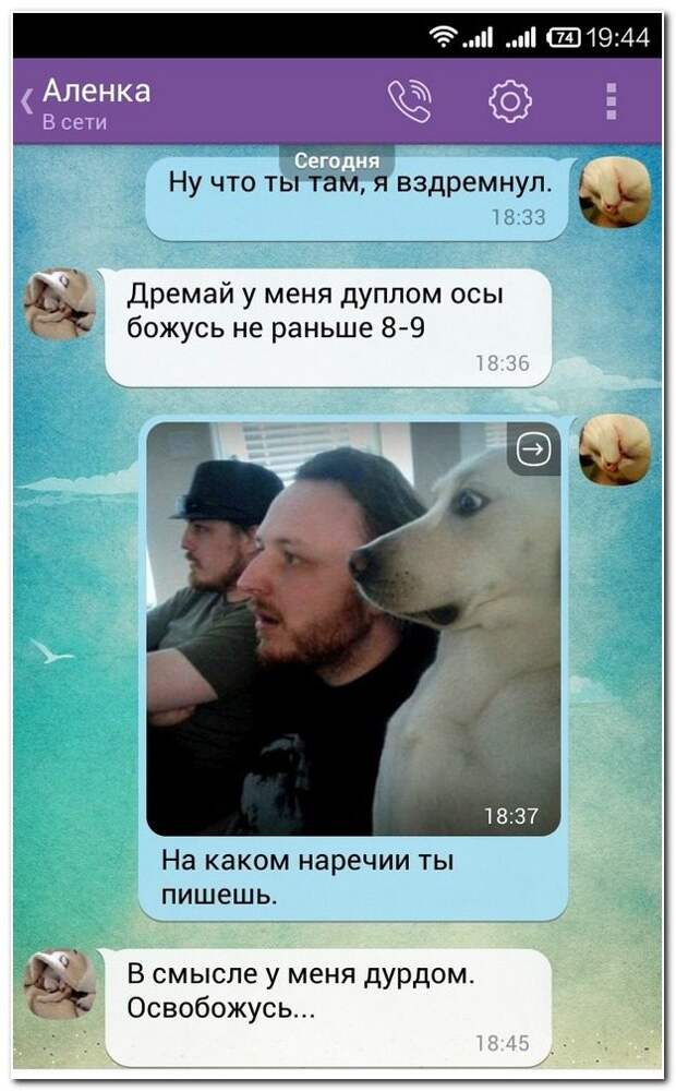 Смешное из соцсетей