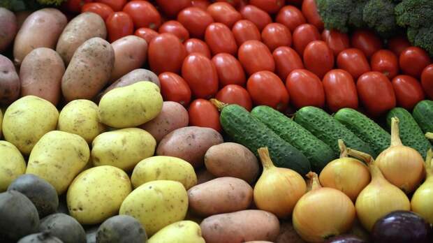 Что мы вырастим в тени: 12 съедобных культур для северной стороны