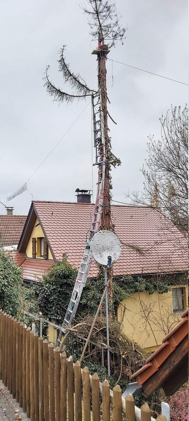 Вероятно, уже вышку 6G монтируют Вероятно, уже вышку 6G монтируют